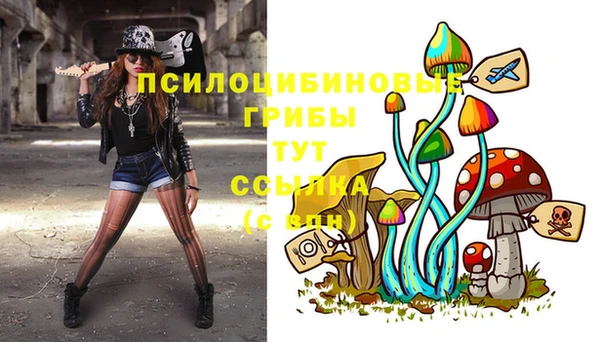 крисы Богородицк