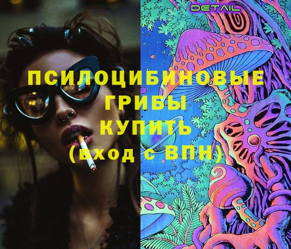 PSILOCYBIN Беломорск