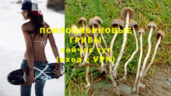PSILOCYBIN Беломорск