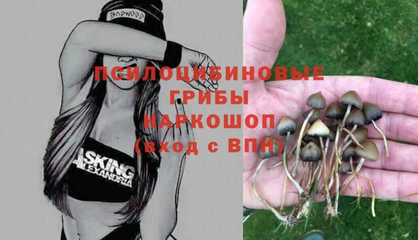 PSILOCYBIN Беломорск
